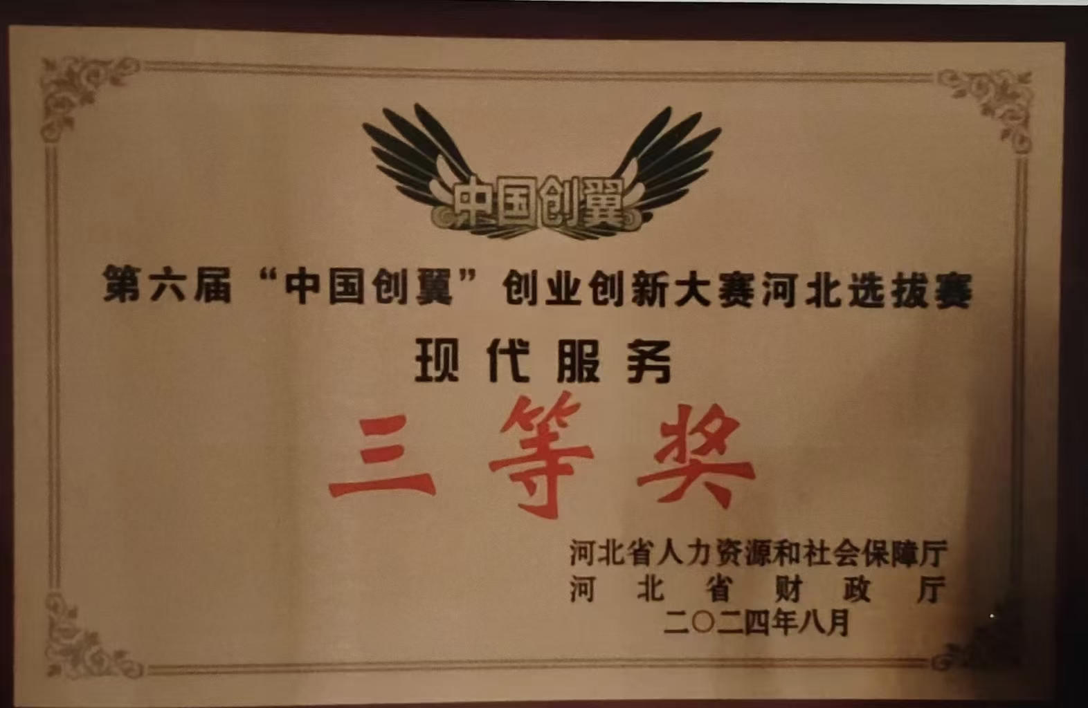 中国创翼三等奖